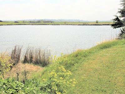Picture 10